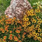 Naturbunt Зелль