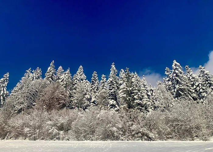 Naturbunt Apartment *