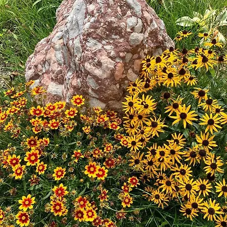 Naturbunt Soll